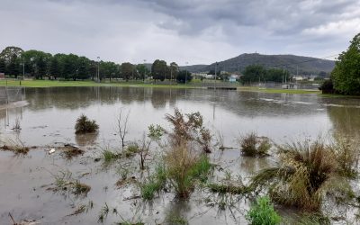 Draft Lithgow Floodplain Risk Management Study and Plan