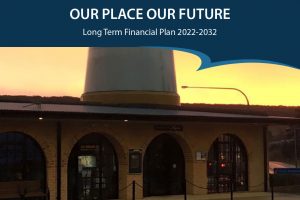 Long Term Financial Plan