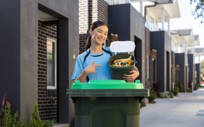 New green bin service to recycle food and garden plant waste starts on 4 March 2024