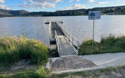 Lake Wallace Reopened following fish die-off event