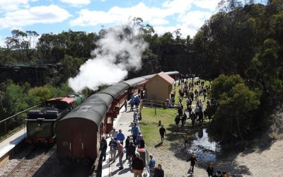 Zig Zag Railway full steam ahead for all ages