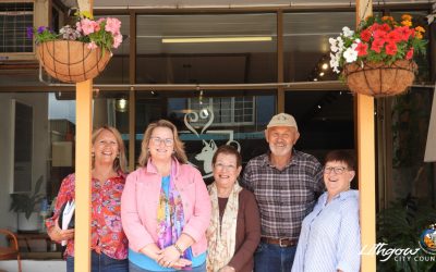 Hanging gardens bring colour to Lithgow CBD