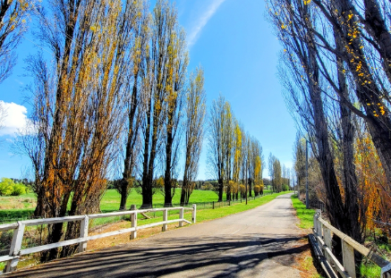 Proposed road naming – Karoo Drive, Meadow Flat